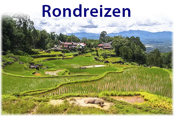 Rondreizen Sulawesi