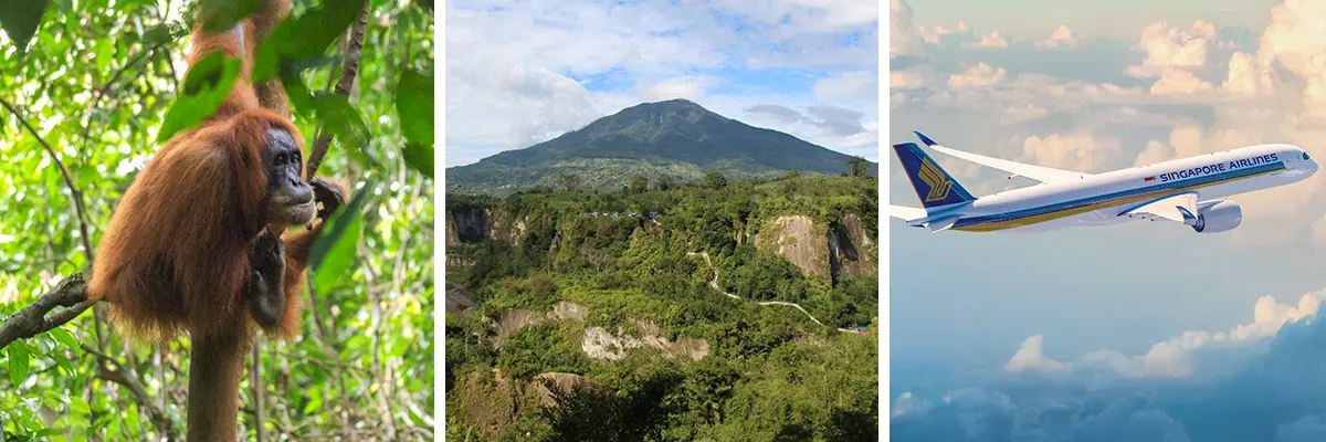 Sumatra Vliegtickets