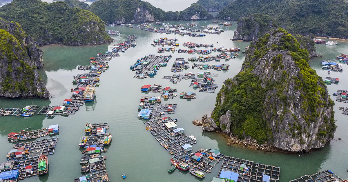 Drijvend vissersdorp Halong Bay