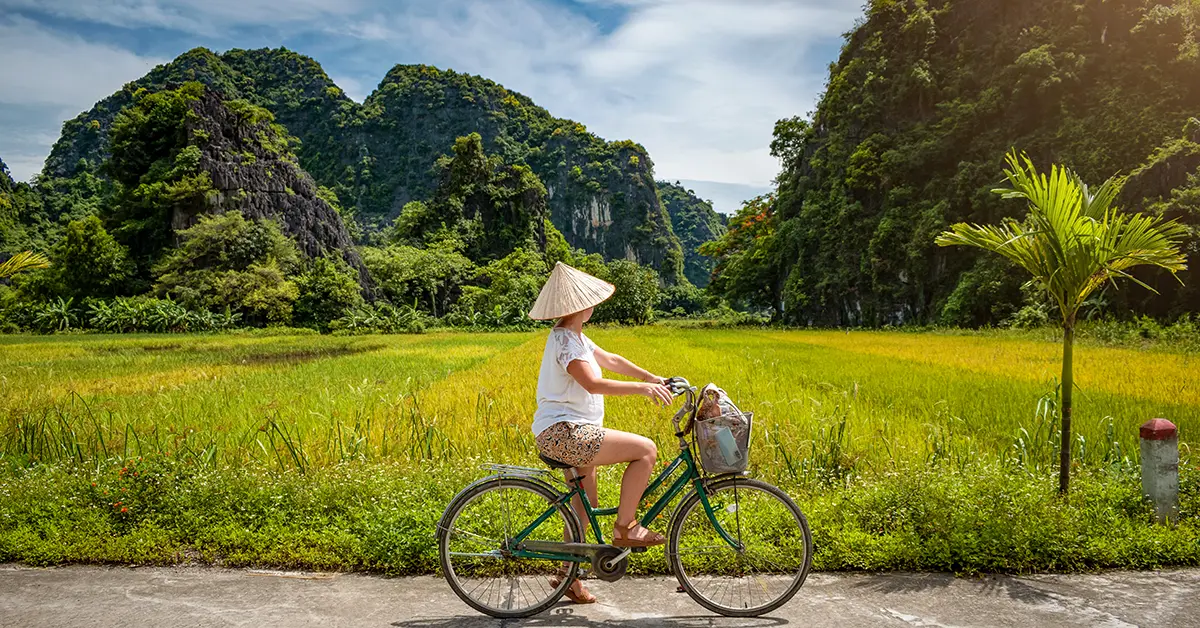 Fietsen langs rijstvelden - Vietnam