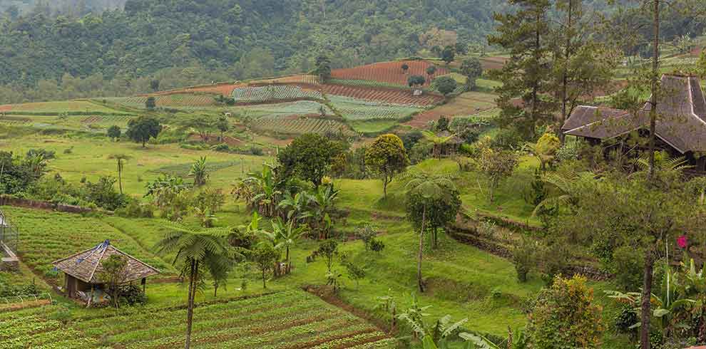 Puncak Pass
