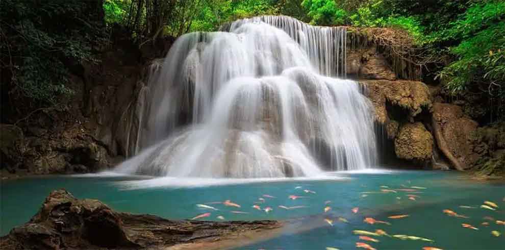 Jungle Rafts & Sai Yok