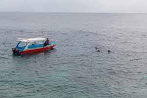 Snorkelen bij Menjangan Island