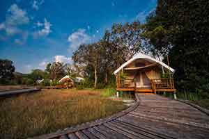 Cardamom Tented Kamp