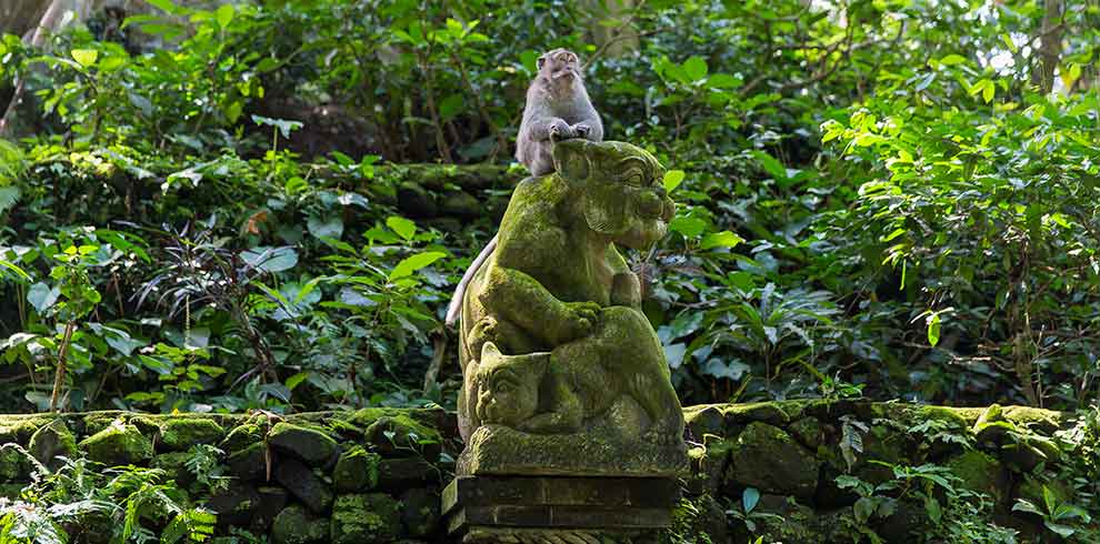 Ubud Monkey Forest
