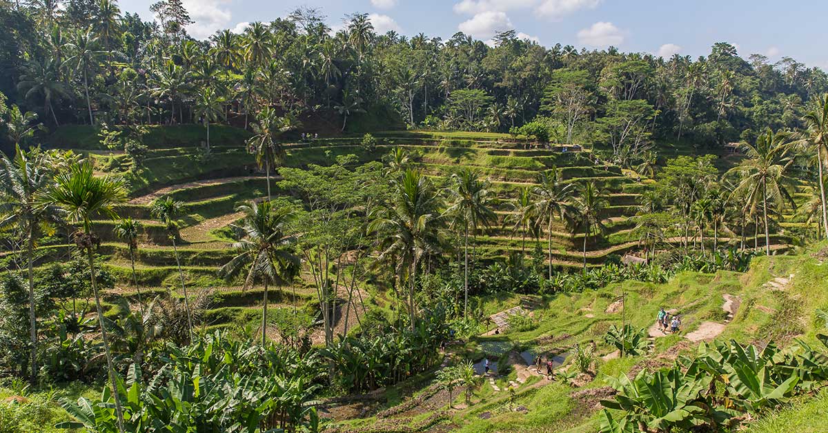 Ubud