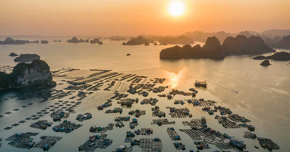 Bai Tu Long Bay