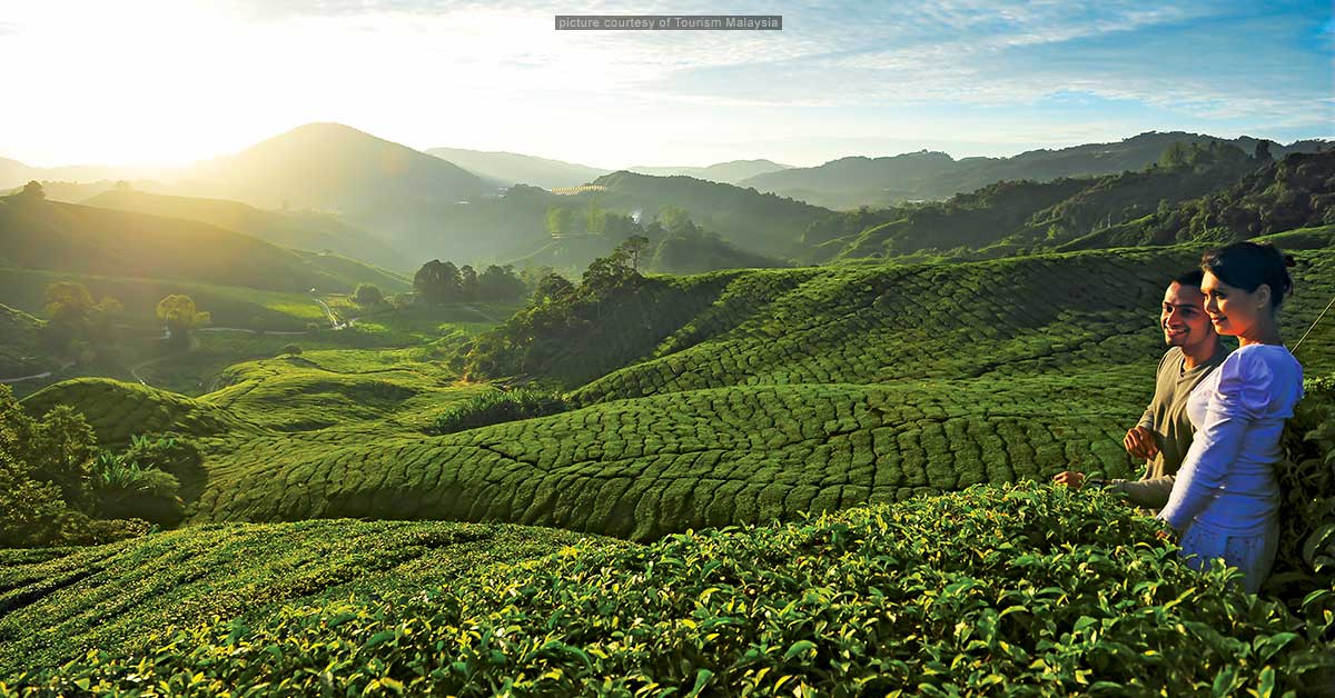 Cameron Highlands