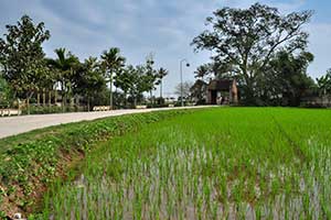 Duong Lam Ancient Village