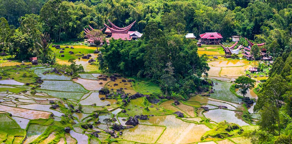 Toraja