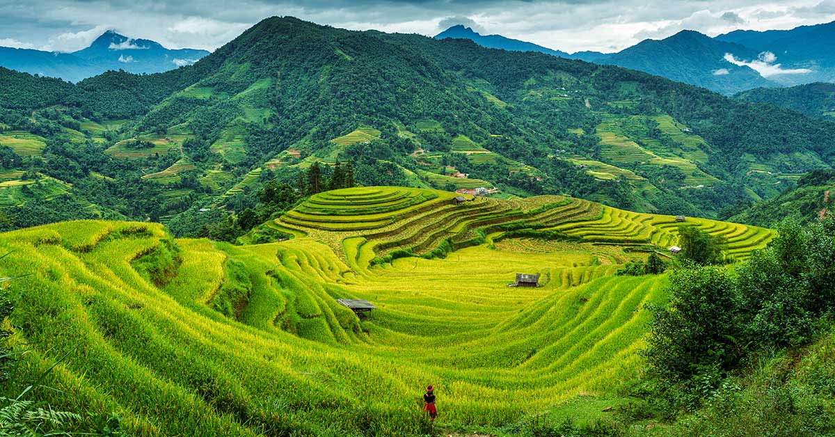 Hoang Su Phi