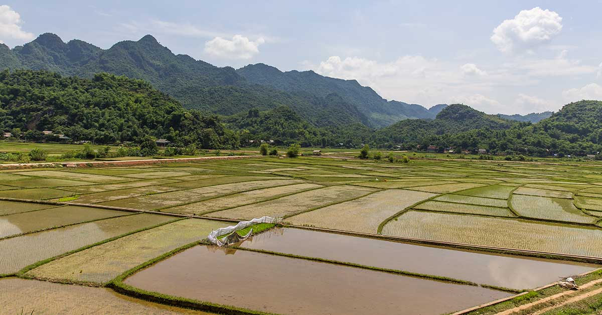 Mai Chau Vallei