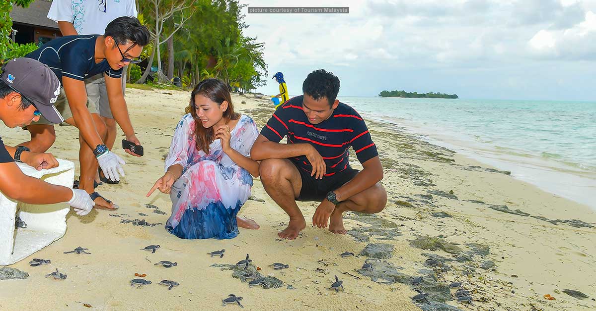 Turtle Islands