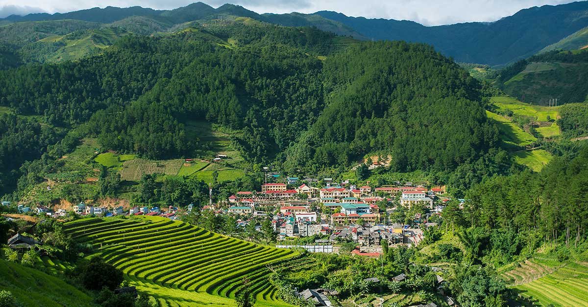 Sapa