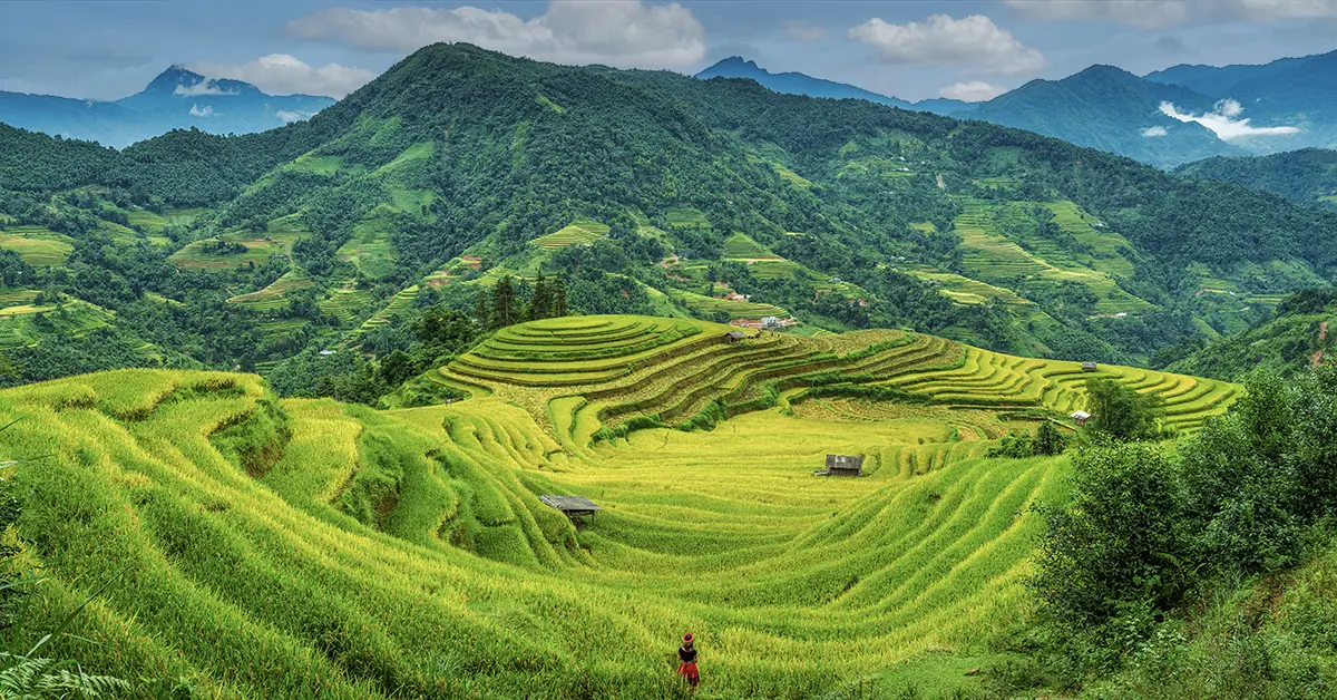Rijstvelden en bergen in Vietnam – typisch landschap voor reizigers die het land willen ontdekken