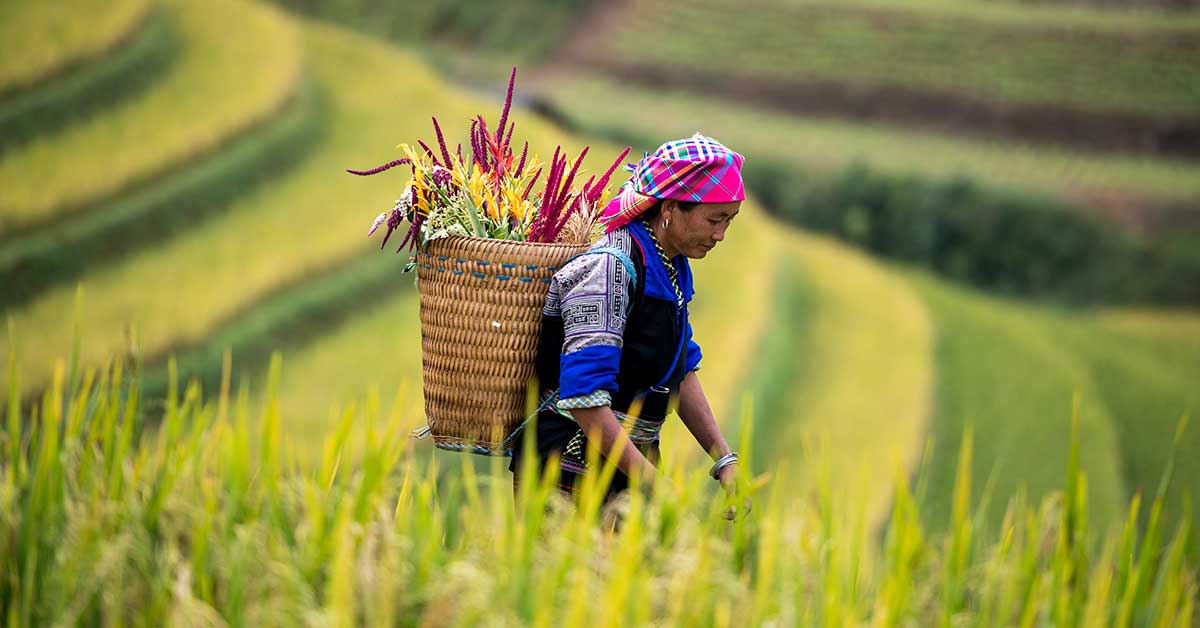 Tam Duong