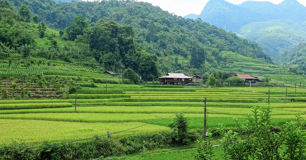 Prachtige natuur in Vietnam