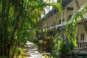 De tropische tuin van het Patong Palace Hotel in Phuket
