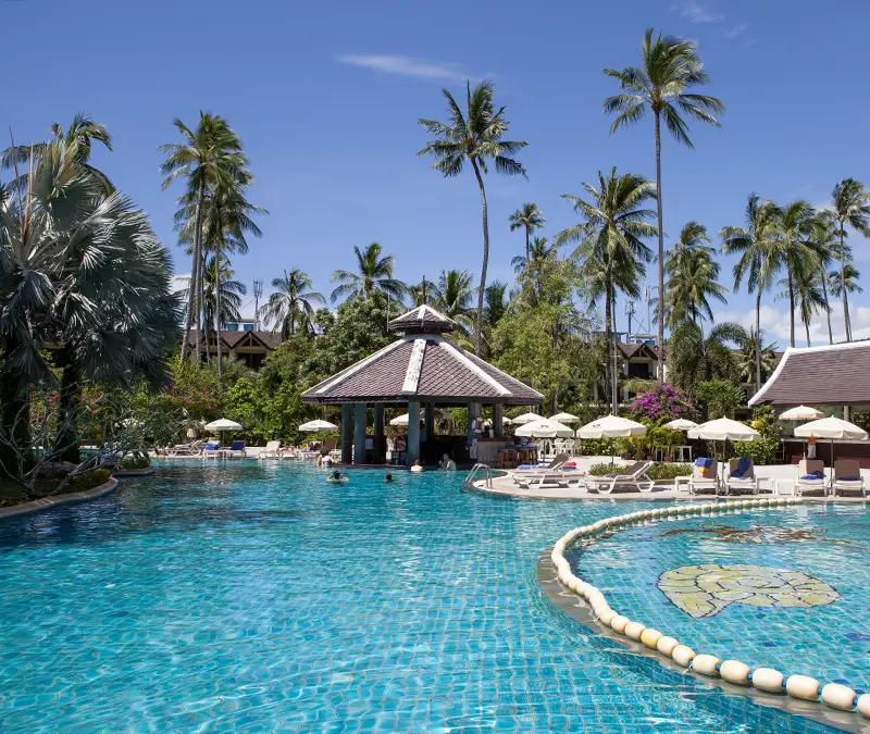 Hotels – zwembad met palmbomen in Phuket