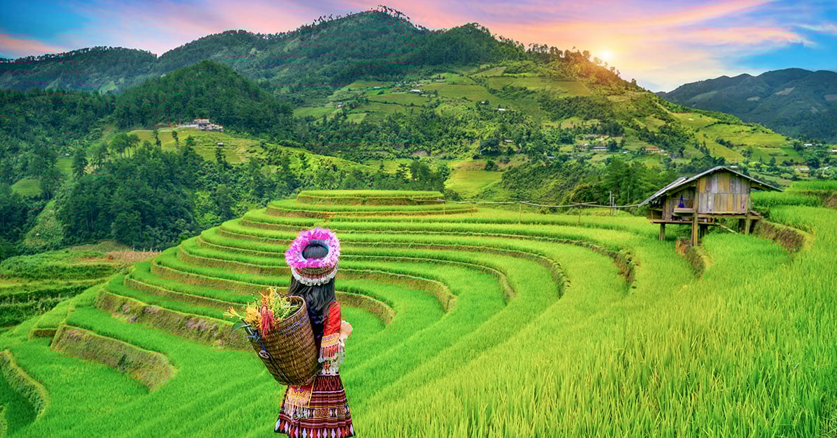 Hmong-vrouw bij de rijstterrassen van Sapa tijdens een individuele rondreis door Vietnam