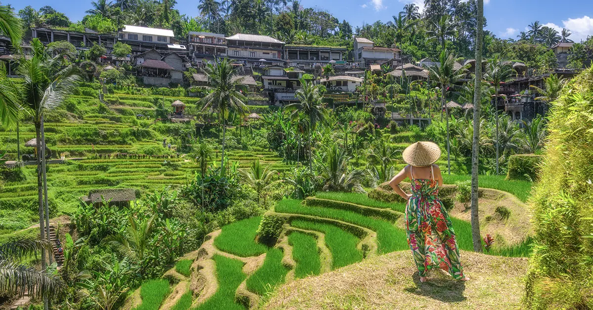 Bali Ubud – reiziger bij groene rijstterrassen met uitzicht op de heuvels rond Ubud