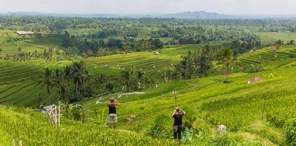 Mensen kijken uit over de prachtige rijstterrassen bij Jatiluwih op Bali