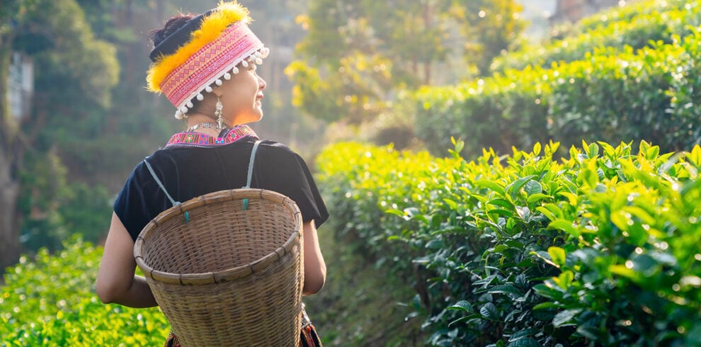 Vrouw in traditionele kleding in de omgevi ng van Chiang Rai