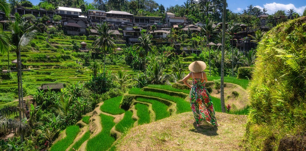 Uitzicht over de rijstvelden bij Ubud op Bali