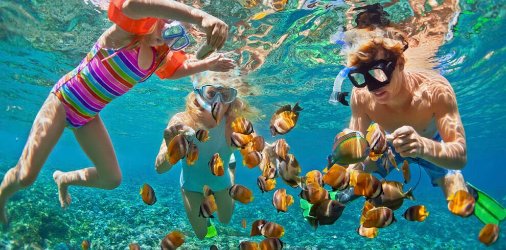 Familie in aan het snorkelen bij Menjangan Island op Bali