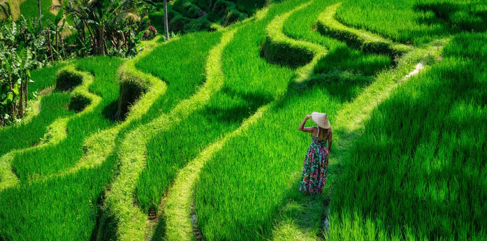 Een vrouw loopt door de rijstterrassen bij Ubud op Bali