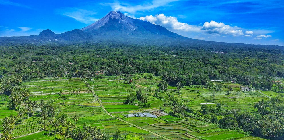 Rijstvelden en ee vulkaan bij Solo op Java