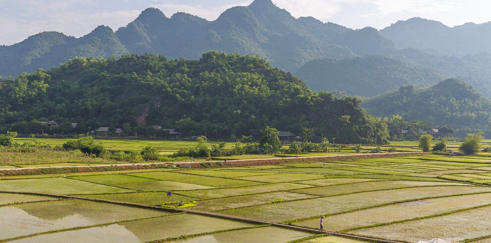 Het prachtige landschap vol rijstvelden bij Mai Chau in Vietnam