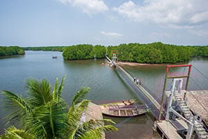 Luchtfoto van de hangbrug en het mangrovebos in Koh Kong, Cambodja