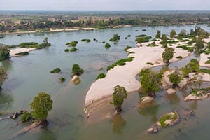 Het overstroomde bosgebied in de Mekong rivier in Cambodja