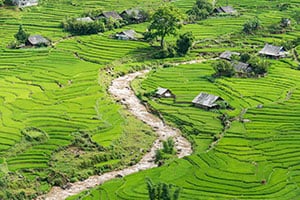 Prachtig uitzicht over de rijstterrassen bij Ta Van Village in Vietnam