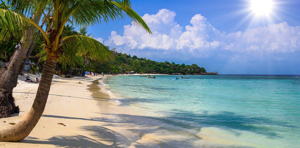 Kokosnootbomen op het tropische Haad Yao Beach op Koh Phangan in Thailand
