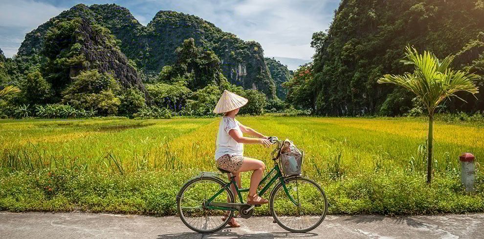 Jonge vrouw fietst door de rijstvelden bij Ninh Binh, Vietnam