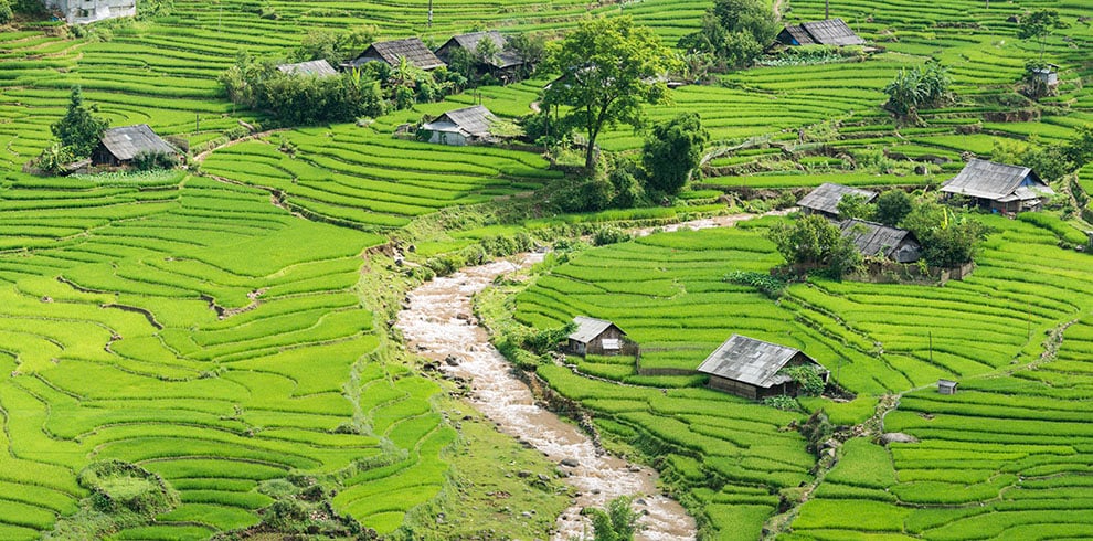 De prachtige rijstterrassen bij Ta Van Village in Sapa, Vietnam
