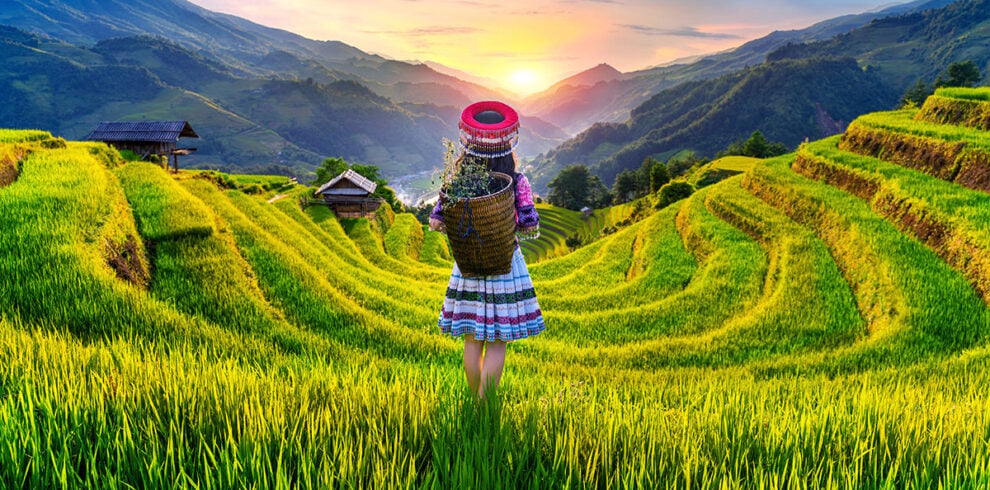 Hmong vrouw tussen de rijstterrassen in Mu Cang Chai,Vietnam