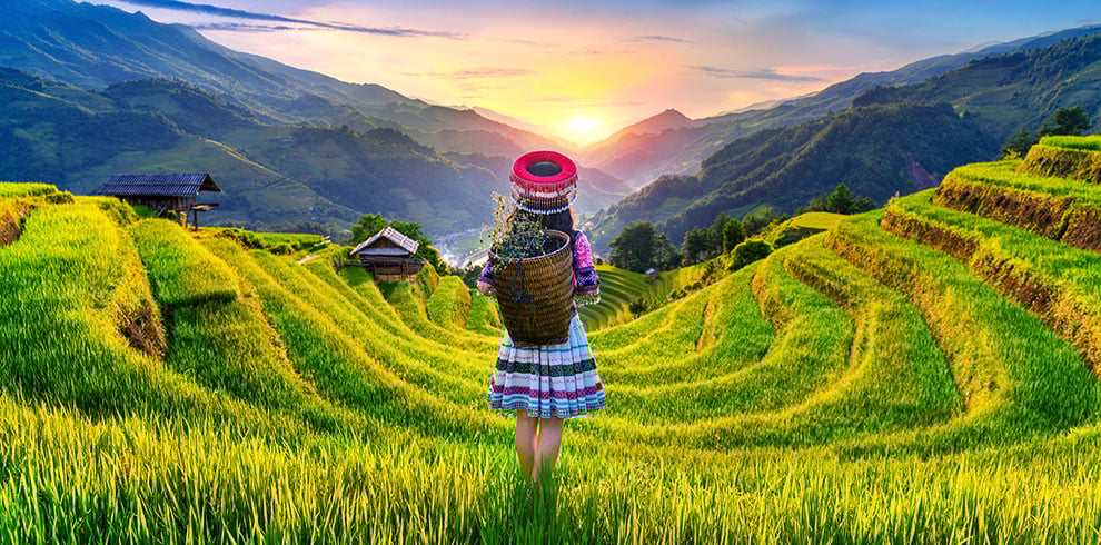 Hmong vrouw tussen de rijstterrassen in Mu Cang Chai,Vietnam