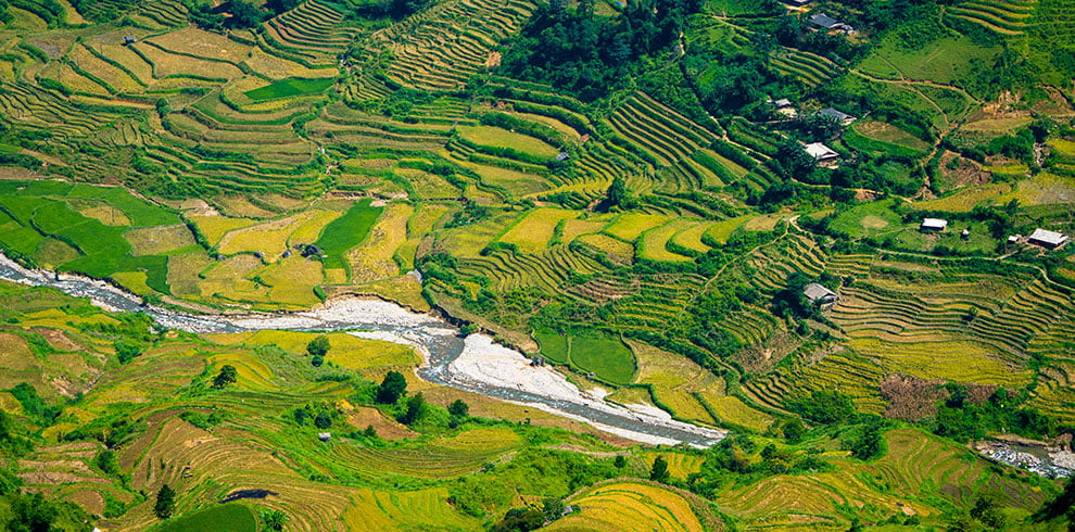 Luchtfoto van de rijstterrassen langs de Khau Pha Pass in Mu Cang Chai, Vietnam