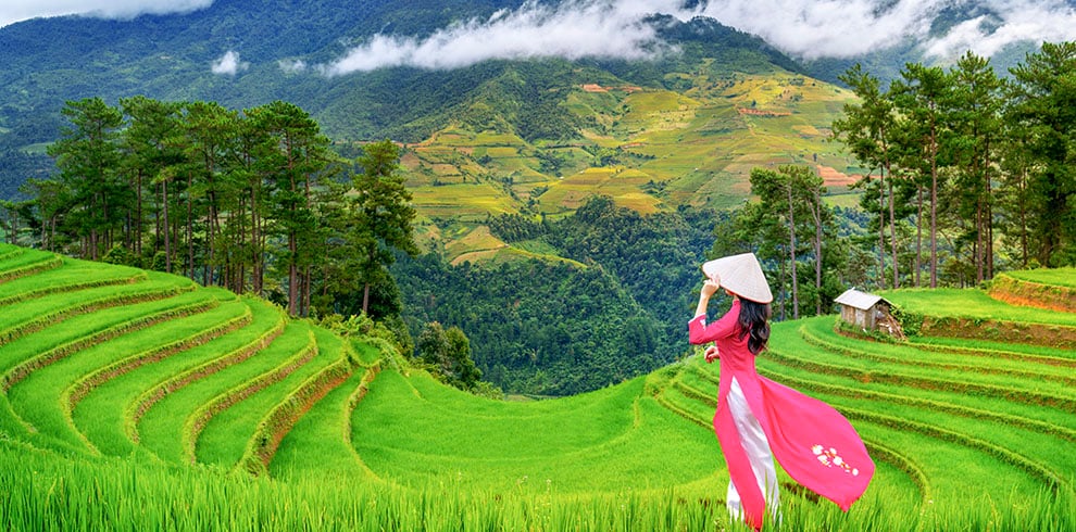 Vietnamese vrouw kijkt uit over de rijstterrassen in Mu Cang Chai, Vietnam