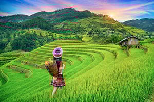 Wandeltocht door de rijstterrassen in Mu Cang Chai, Vietnam