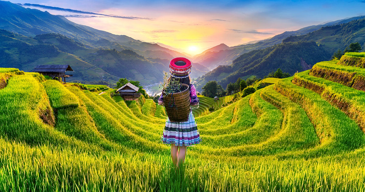 Hmong vrouw bij de rijstterrassen in Mu Cang Chai