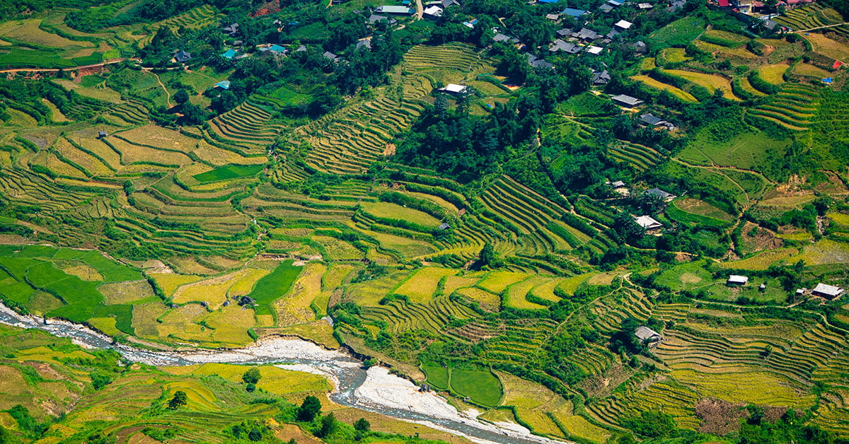 De rijstterrassen bij de Khau Pha Pass in Mu Cang Chai, Vietnam