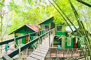 Treehouses bij het Khao Sok Tree House Resort in Thailand