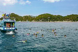 Snorkelen in de wateren rond Koh Tao