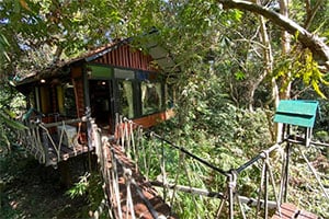 Huisjes tussen de bomen in het Khao Sok Tree House Resort