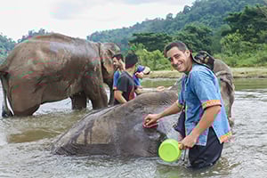 Olifanten verzorgen in Chiang Mai, Thailand