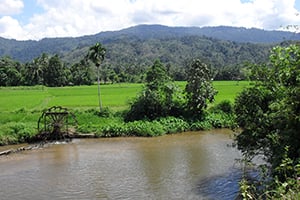 Het prachtige landschap bij Lubuk Linggau op Sumatra